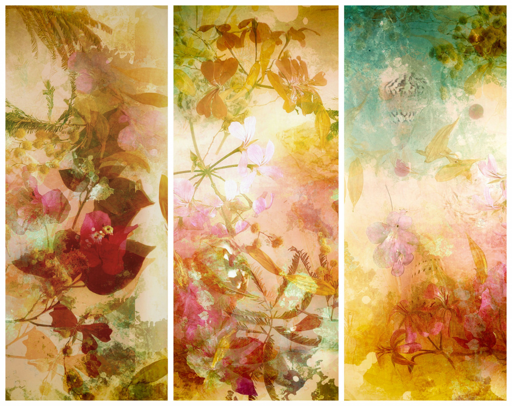 Flower abstractions  with mimosa, shells ,bougainvillea  floating in water.. Trilogy . a Saskia Dingemans