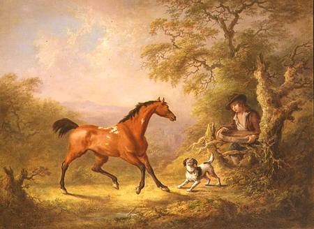 A Groom Feeding a Horse a Sawrey Gilpin