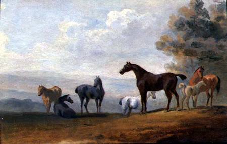 Horses a Sawrey Gilpin