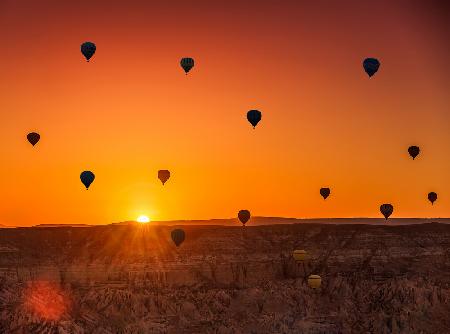 Balloons at Dawn