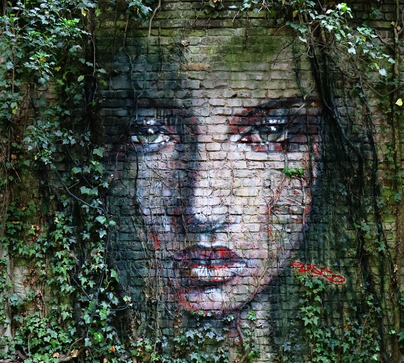 A fairy is looking through the ivy branches a Frank Schröter (Rosco!)