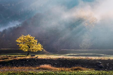 October Light