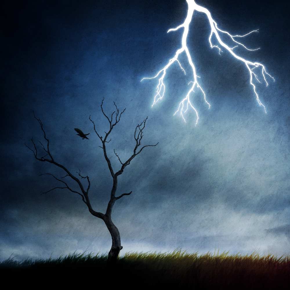lightning tree a Sebastien DEL GROSSO