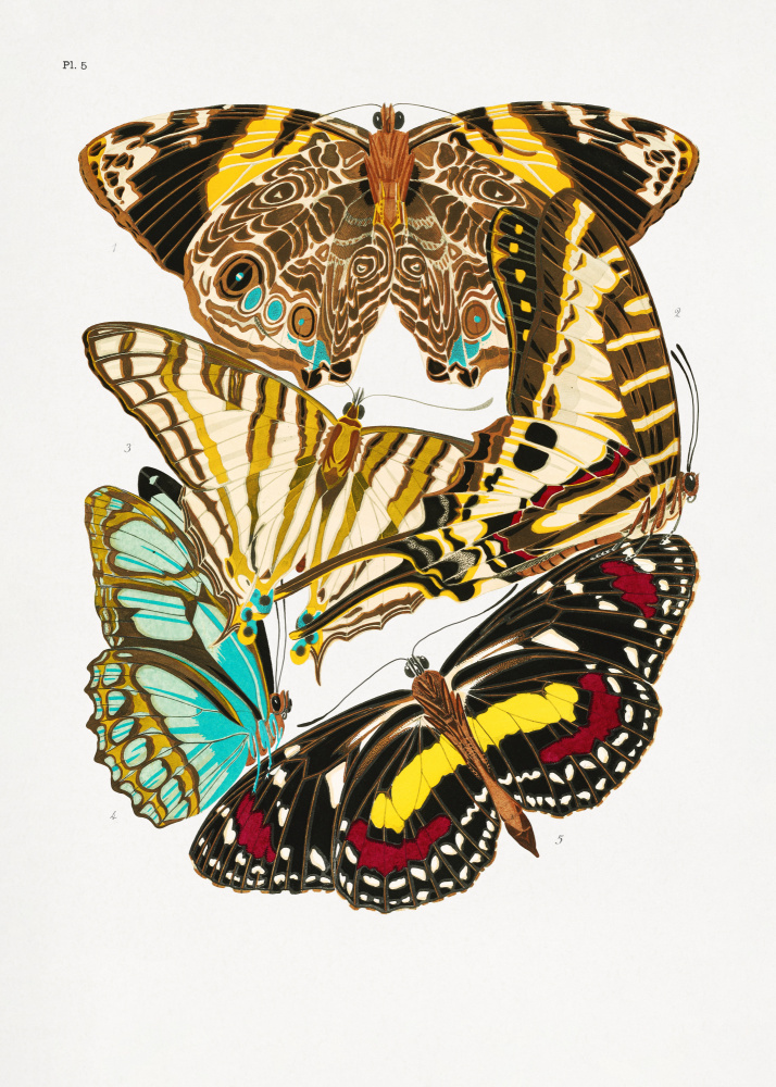 Butterflies 10 a Émile-Allain  Seguy