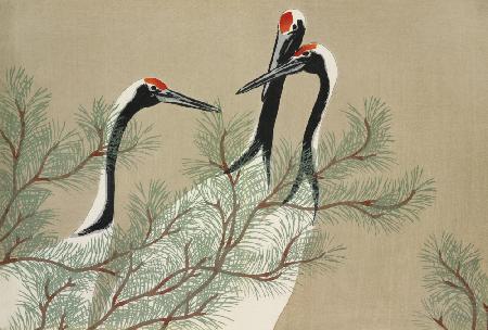 Cranes From Momoyogusa
