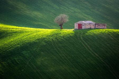 Spring at the old farmhouse