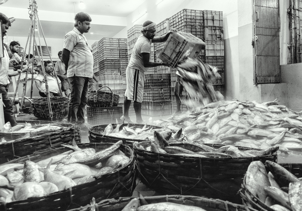 Fish Market a Shaibal Nandi
