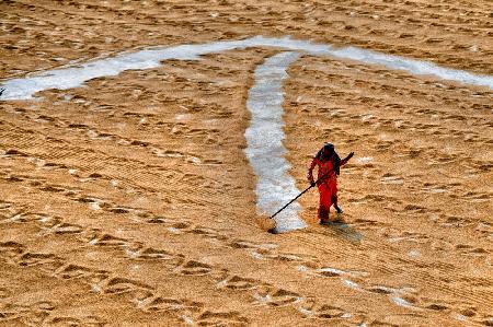 Paddy drying9