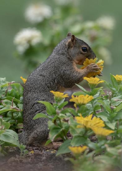 The flower lover!