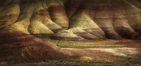 Painted Hills in Spring