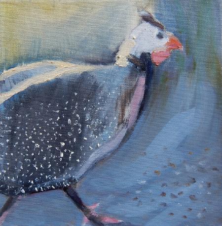 Guinea Fowl Four