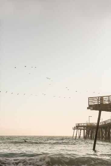 California Surfers