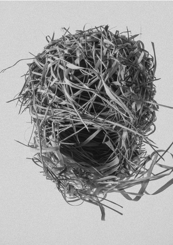Weavers Nest a Shot by Clint