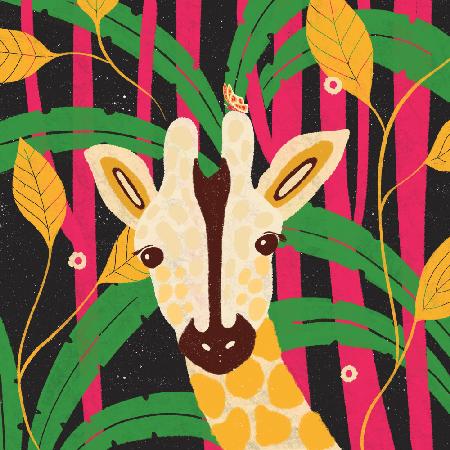 Giraffe-Animal Trilogy