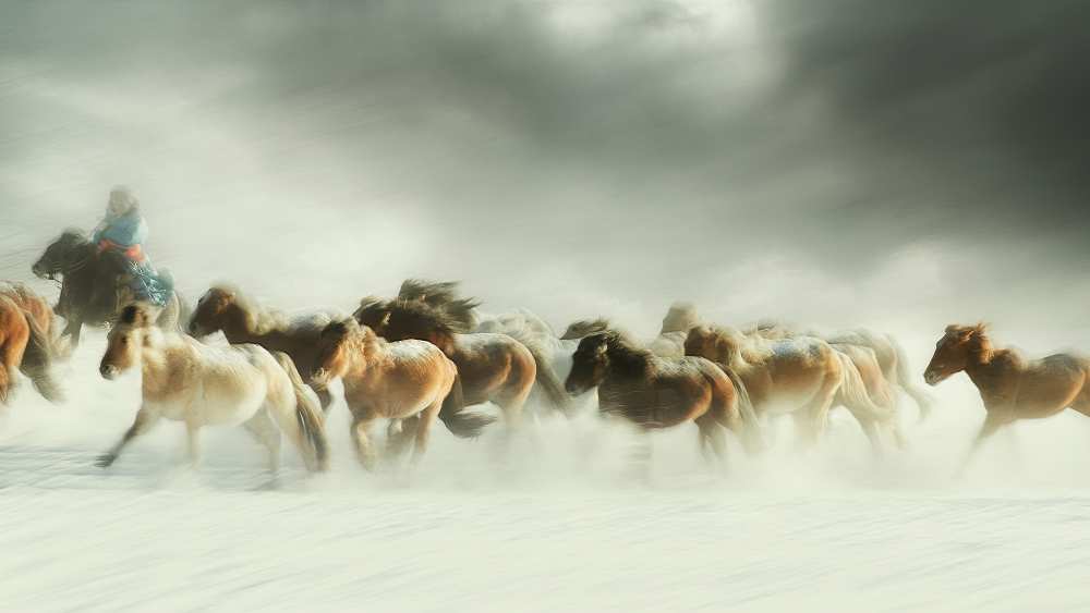 Horses gallop a Shu-Guang Yang