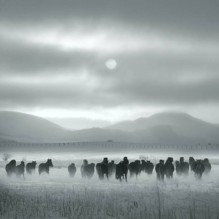 Toward the sun a Shu-Guang Yang