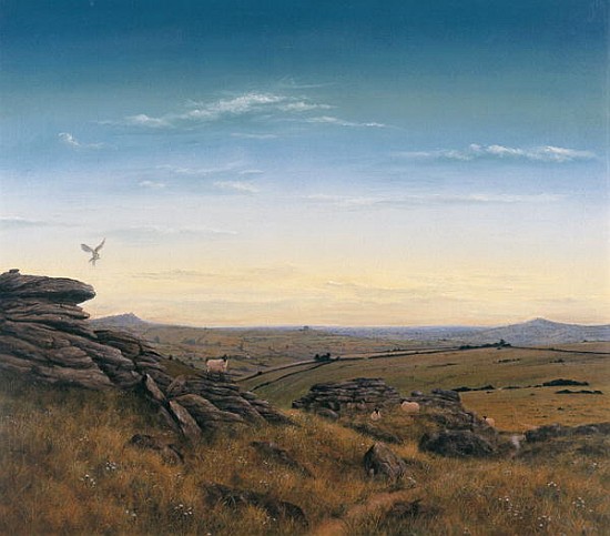 Evening Sky (oil on canvas)  a Simon  Cook