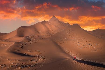 Exploring the desert