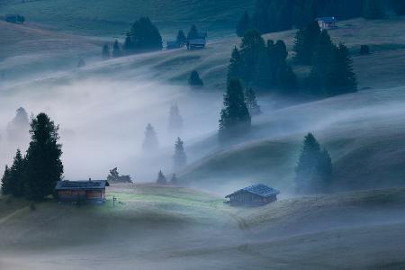 Photographer in fog