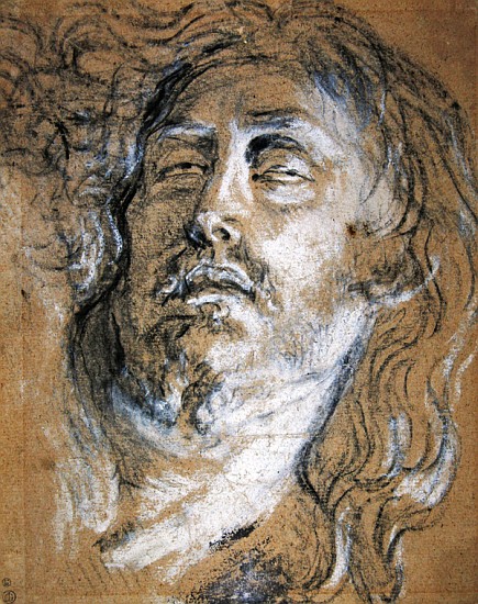Head of the dead Christ (charcoal & chalk on paper) a Sir Anthony van Dyck