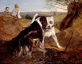 Two dogs in the fight for a Stöckchen a Sir Edwin Henry Landseer