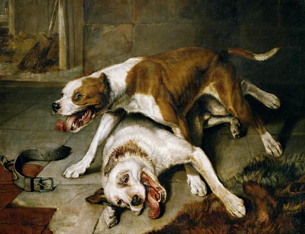Cani da combattimento a Sir Edwin Henry Landseer