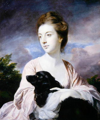 Lady Charles Spencer (oil on canvas) a Sir Joshua Reynolds