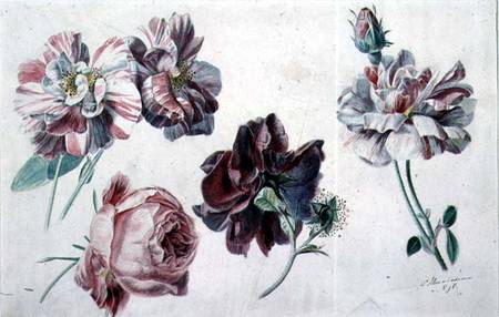 Roses a Sir Lawrence Alma-Tadema