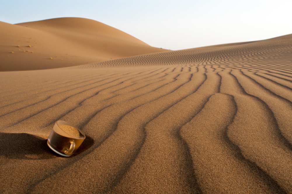 The thirsty desert. a Soheil Soheily