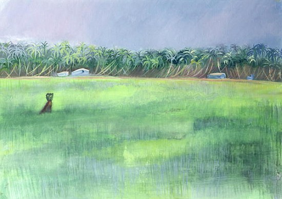 Rice Fields, Goa, India, 1997 (oil on paper)  a Sophia  Elliot
