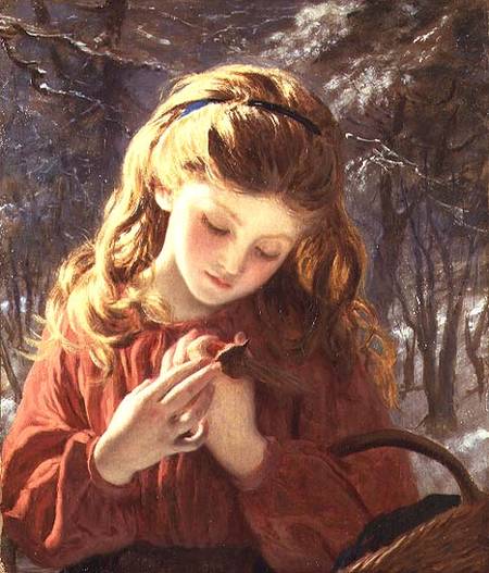 A New Friend a Sophie Anderson