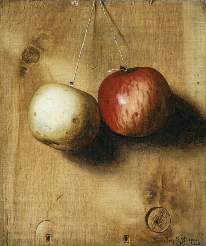 Zwei Äpfel. a Stanley S. David