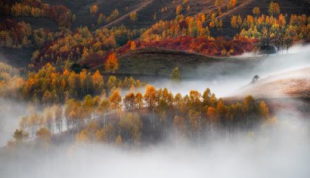 Flowing mist