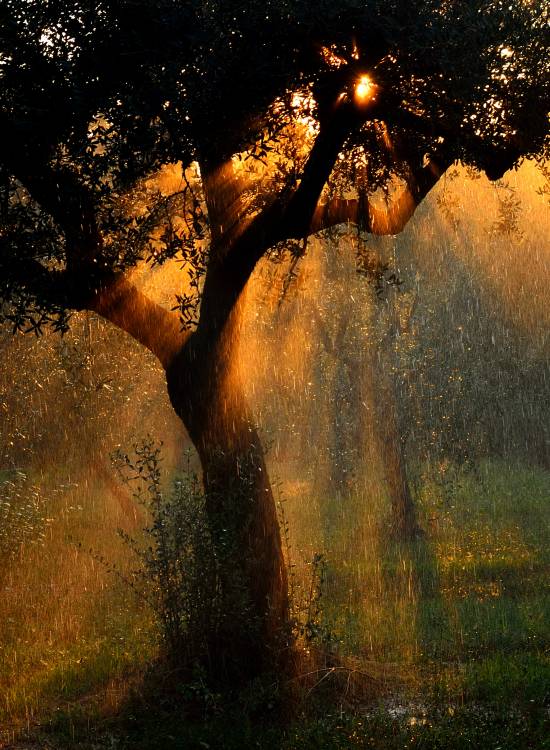 light shower a Stefano Castoldi