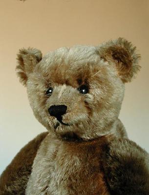 Teddy Bear (detail) a Steiff
