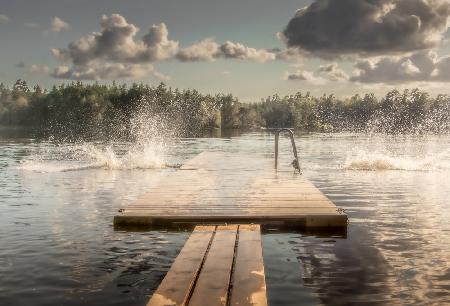 The diving board