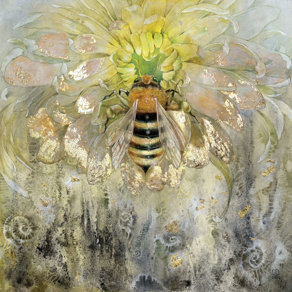 Honeybee a Stephanie Law