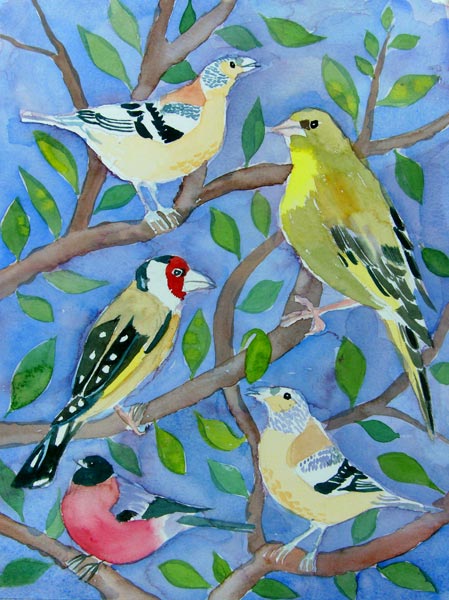 Finches a Mary Stubberfield