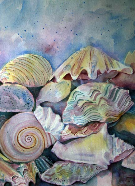 Shells a Mary Stubberfield