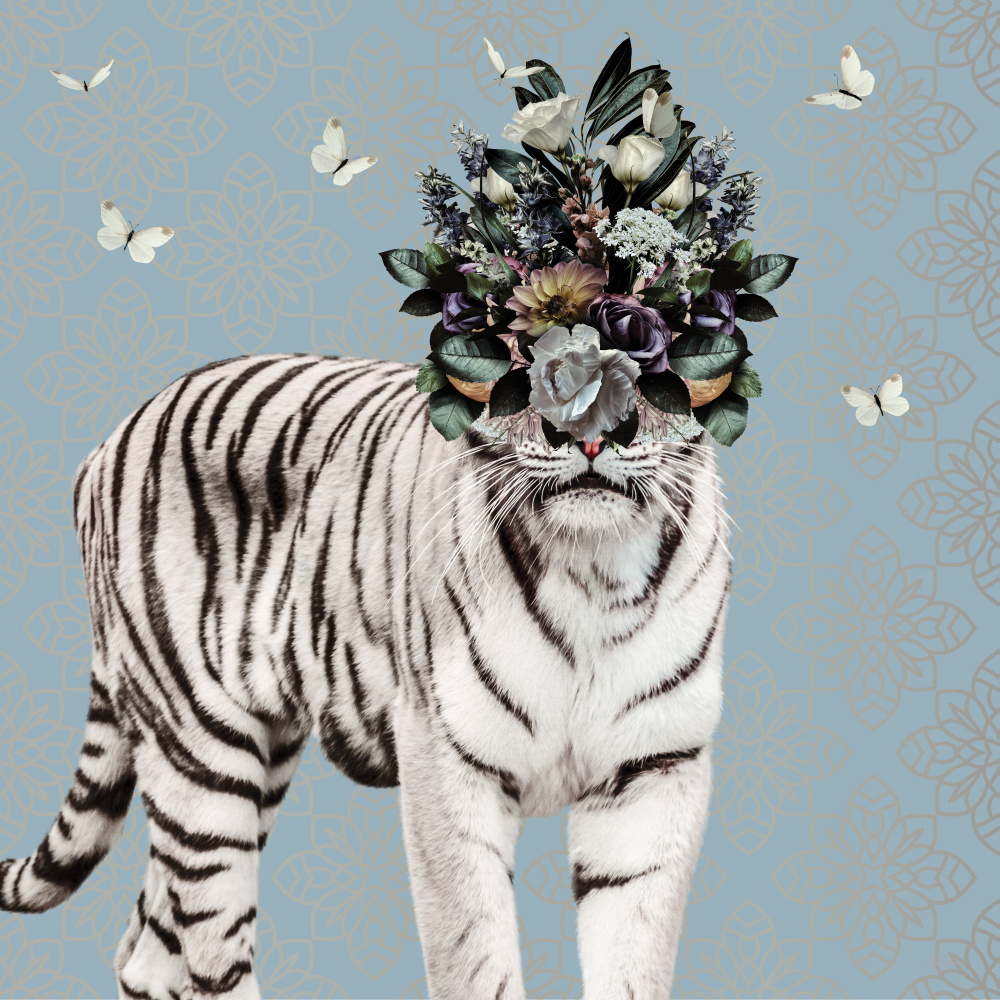 Spring Flower Bonnet On White Tiger a Sue Skellern