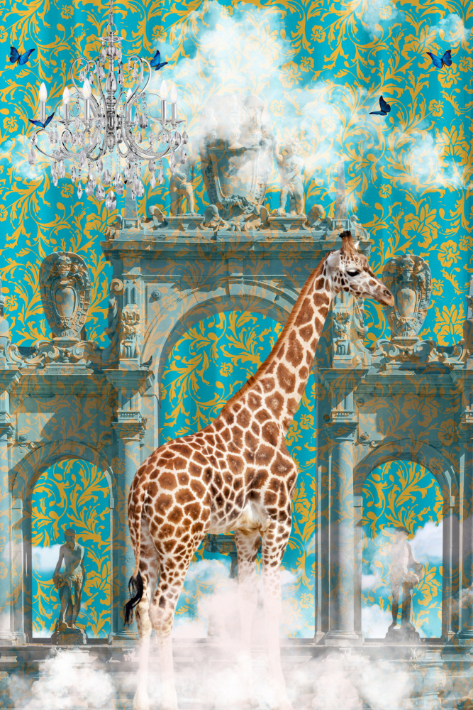 Giraffe Adventures a Sue Skellern