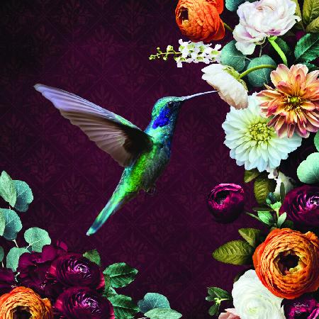 Hummingbird &amp; Flowers