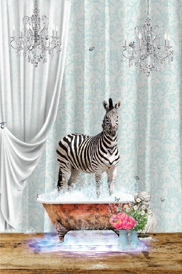 Zebra &amp; Bubbles