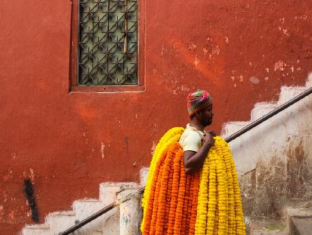 Flower-Man