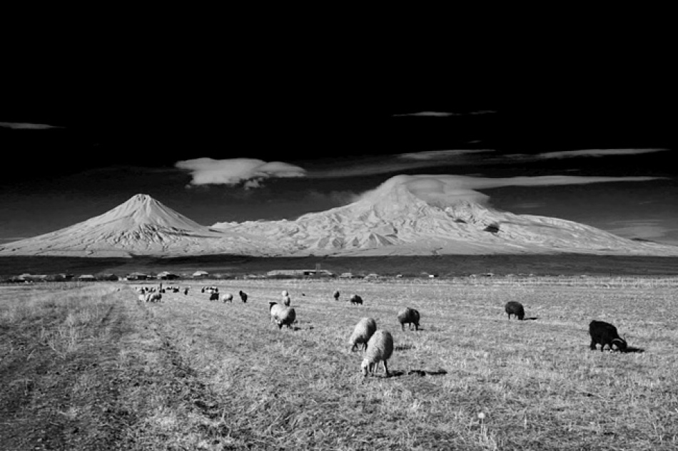 Ararat mountain a Suren Manvelyan