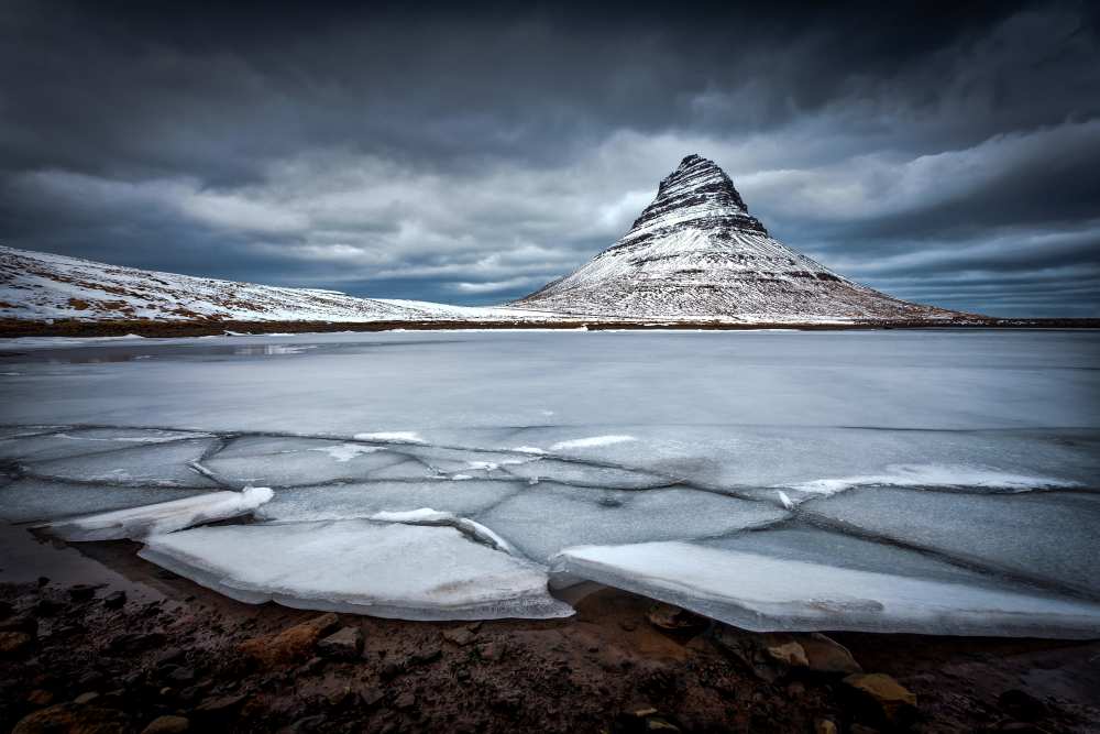 Ice-Berg a Sus Bogaerts