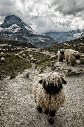 Fuori dal mio percorso