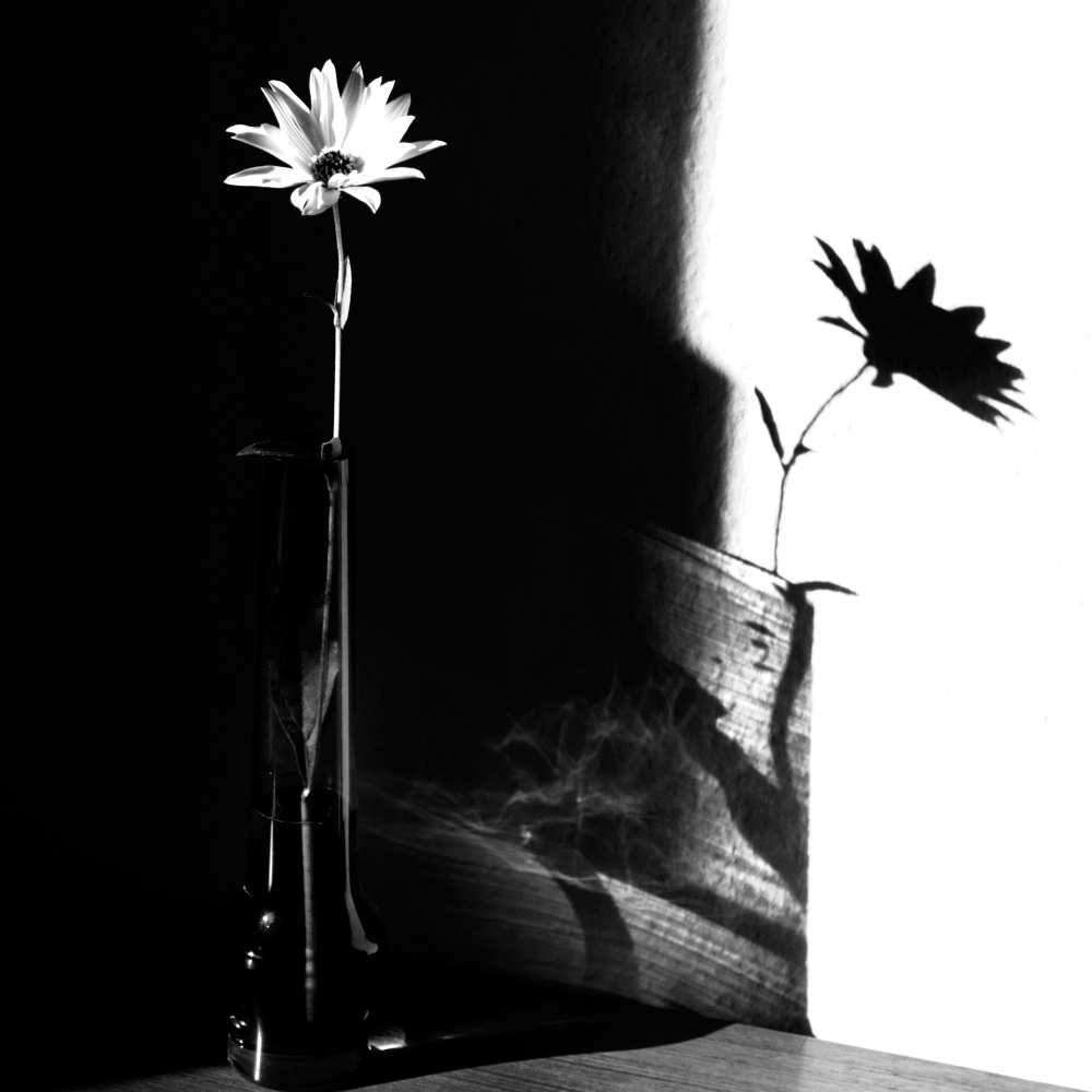 light and shadow a Susanne Wolf