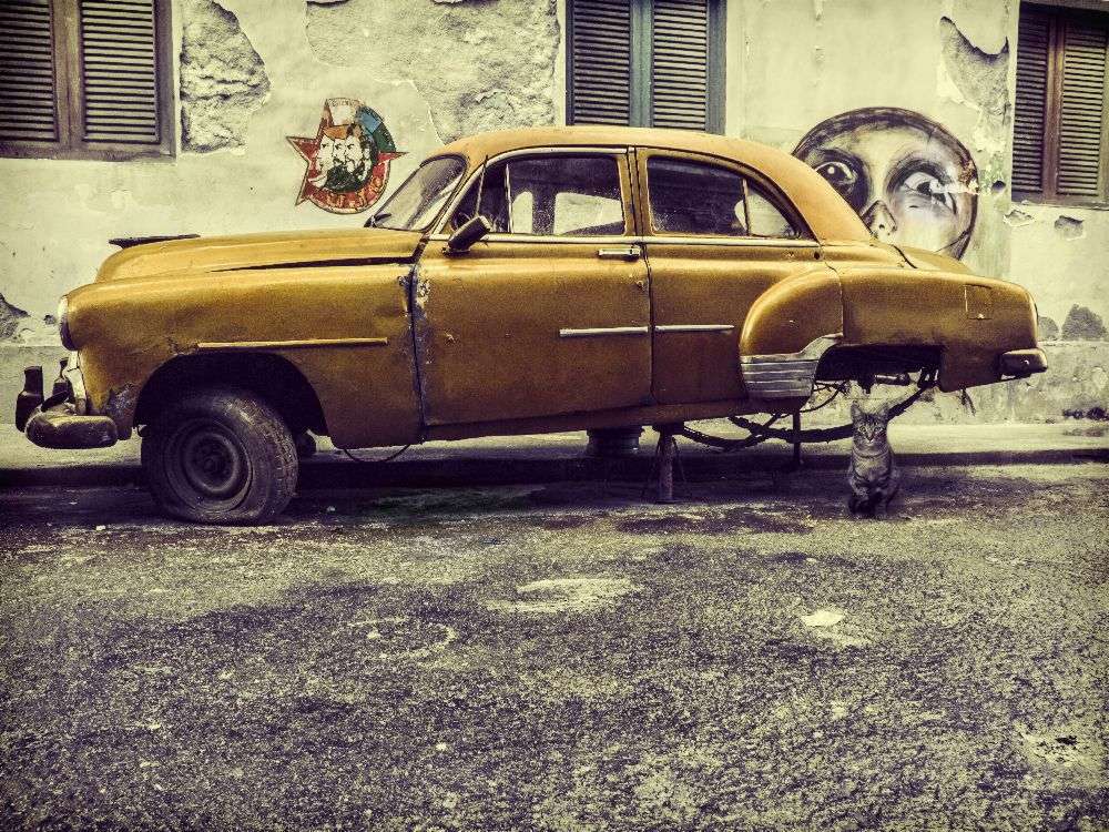Old car/cat a Svetlin Yosifov
