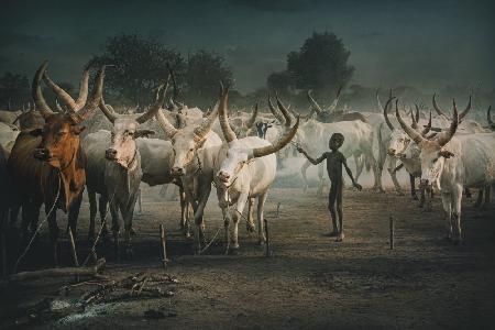 Mundari cattle camp-Child